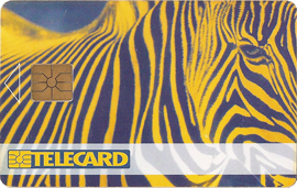 32-06-96-c148-zebra.png
