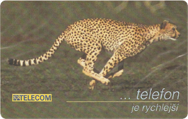 26-05-99-a74-gepard-2.png