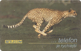 32-08-99-a79-gepard-3.png
