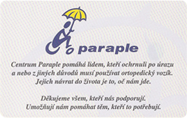 18-05-00-c313-paraple.png